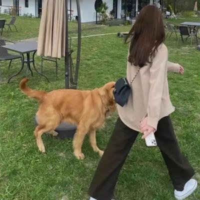 虹猫蓝兔七侠外传 跳跳篇